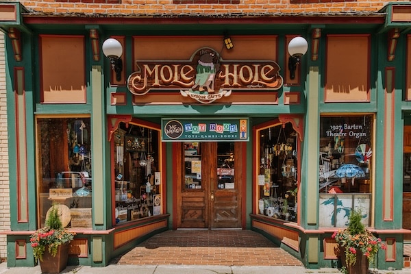 Storefront of the Mole Hole in Marshall, MI